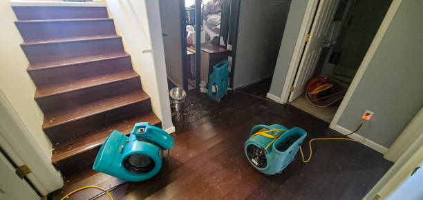 Best Carpet water damage restoration  in Blue Ridge, VA