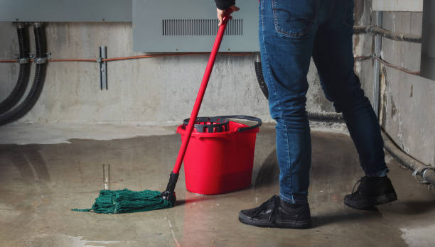 Best Flood damage cleanup  in Blue Ridge, VA
