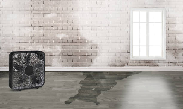 Best Residential water damage restoration  in Blue Ridge, VA