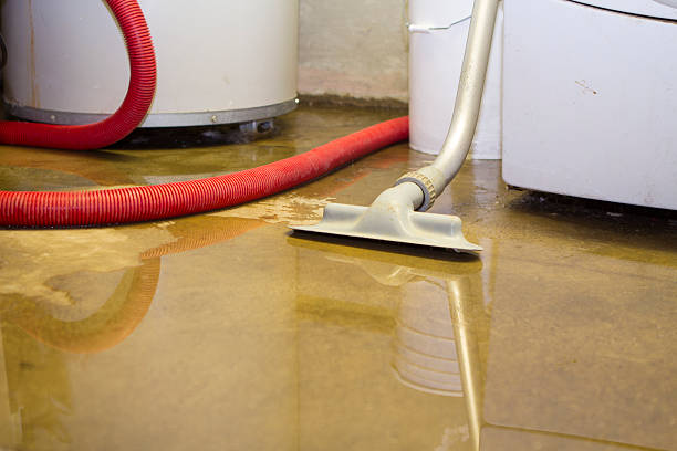 Best Flooded house restoration  in Blue Ridge, VA